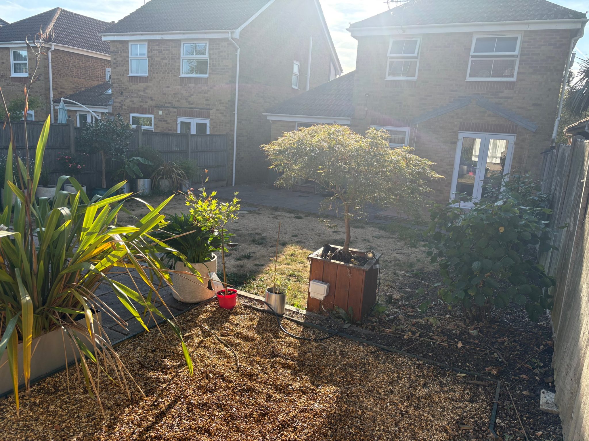 Before: looking back to the house from the gravel corner, over a parched lawn and old slab patio.